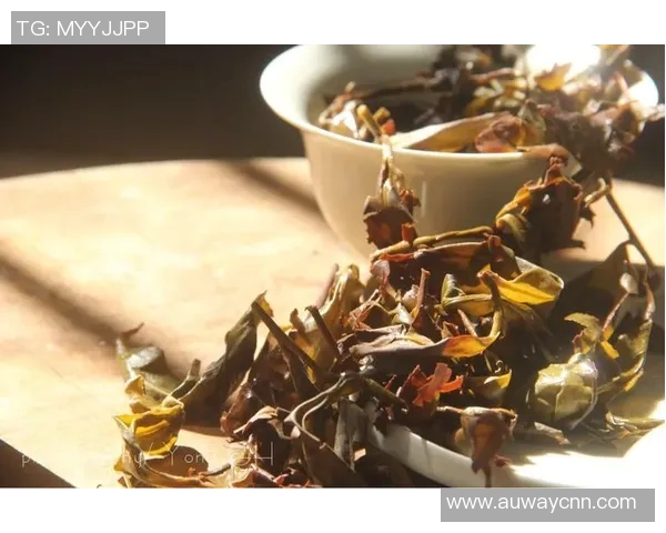 茶叶的世界：从历史渊源到现代饮品文化的多维探索与品鉴之旅