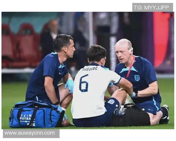 卡塔尔世界杯精彩回顾与未来国际足球赛事发展趋势分析